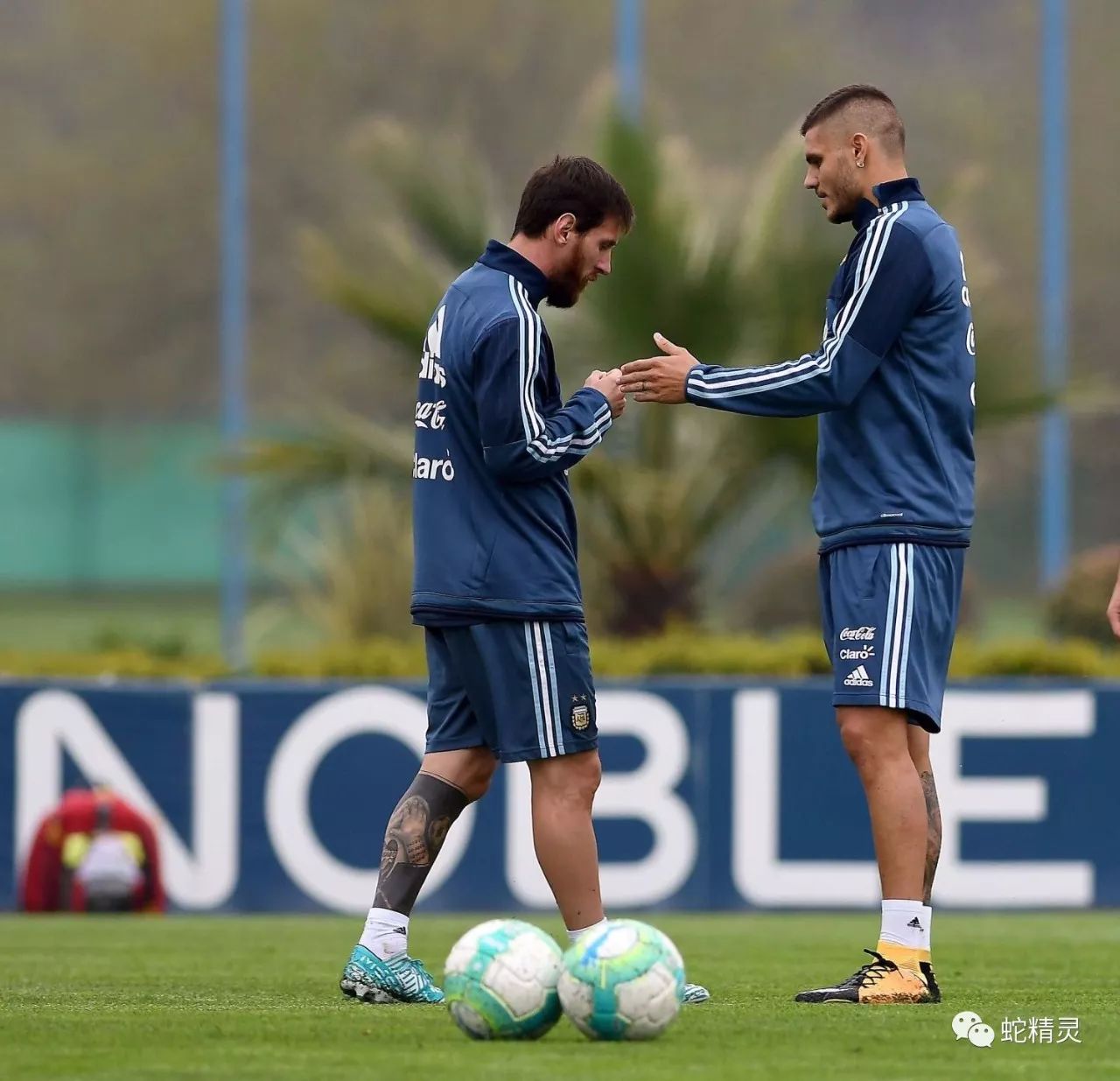 尼斯训练开放日，今夜复出首秀引欢呼，意大利杯在即，赛程密集仍需轮换的简单介绍-九游体育