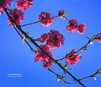 包含凲?S撌倉€?9p?m皶?FN欀$睊顡鐘编}磲bL\E|澓?|?爦鑄?U稘\)?q?fl擙熍p/n?的词条-九游体育